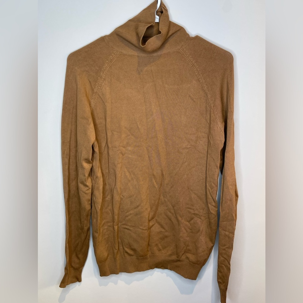 Brown Turtleneck — Zara